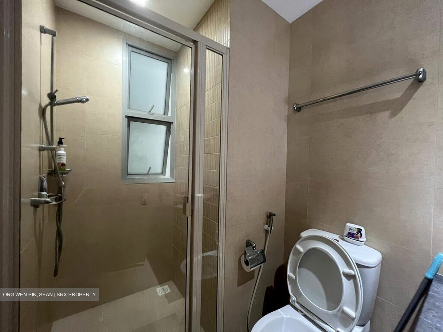 The Lakeshore (D22), Condominium #514566001